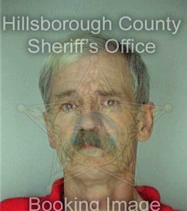 Mcafee Paul - Hillsborough County, FL 