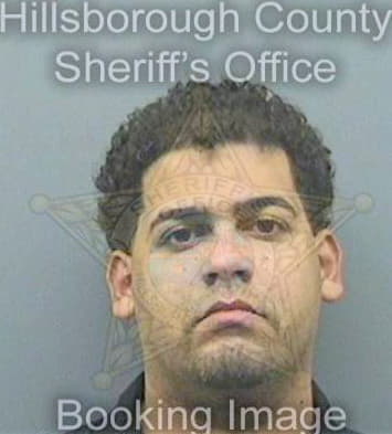 Sime Baudilio - Hillsborough County, FL 