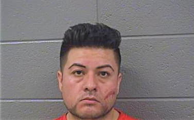 Sandoval Jose - Cook County, IL 