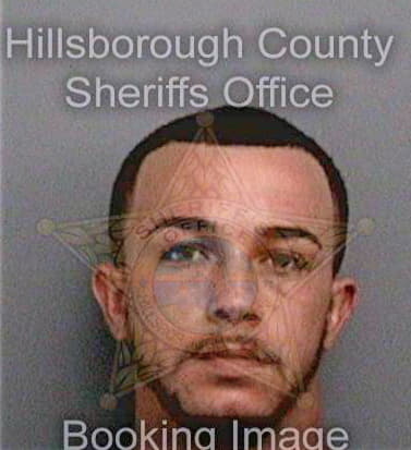 Hurtt William - Hillsborough County, FL 