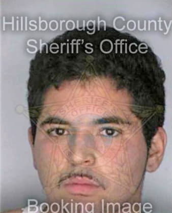 Deltoro Michael - Hillsborough County, FL 