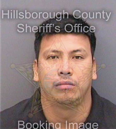 Hernandez Fracisco - Hillsborough County, FL 
