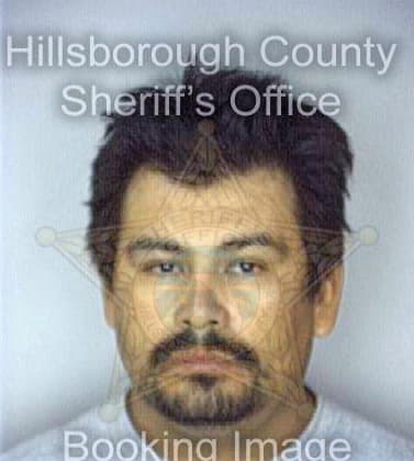 Perez Julio - Hillsborough County, FL 