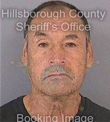 Mercadohernandez Alfonso - Hillsborough County, FL 