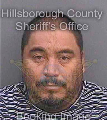 Sanchezavila J - Hillsborough County, FL 