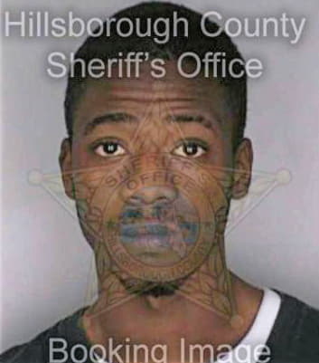 Bowman Robert - Hillsborough County, FL 