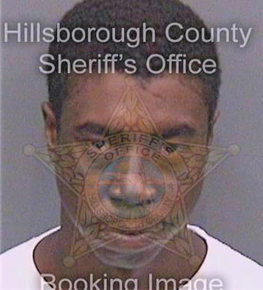 Johnson Brenton - Hillsborough County, FL 