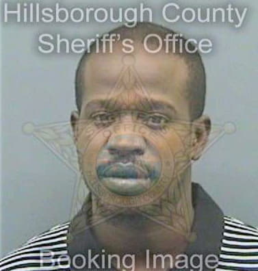 Simmons Brian - Hillsborough County, FL 