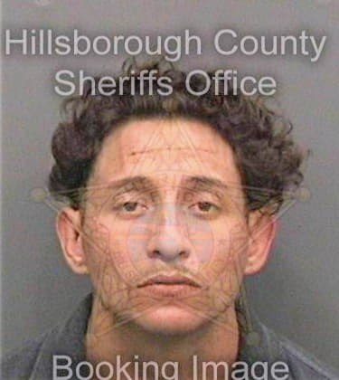 Garcia Heriberto - Hillsborough County, FL 