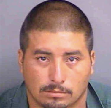 Antoniojose Pedro - Collier County, FL 