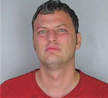 Bellomo Zoltan - Hillsborough County, FL 