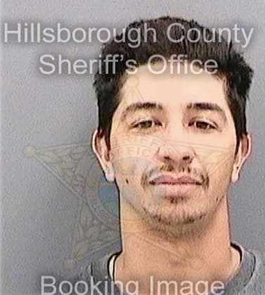 Delrio William - Hillsborough County, FL 