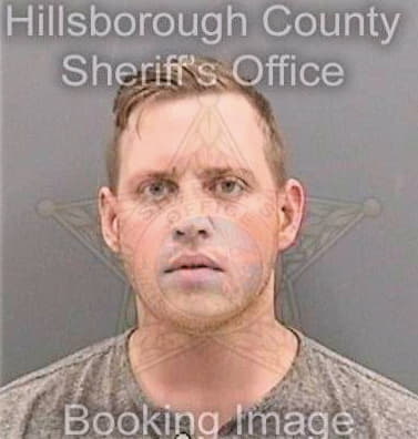 Hawthorne David - Hillsborough County, FL 