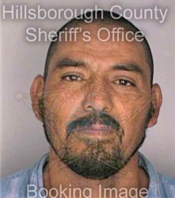 Delgado Jose - Hillsborough County, FL 