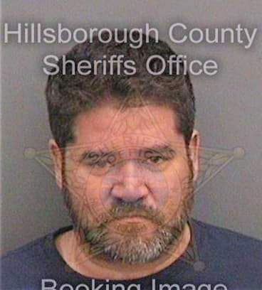 Pineda Wladimir - Hillsborough County, FL 