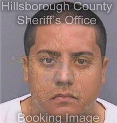 Rodriguez Jeovany - Hillsborough County, FL 