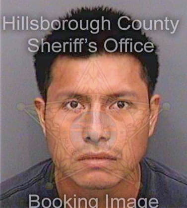 Mendezgomez Erick - Hillsborough County, FL 