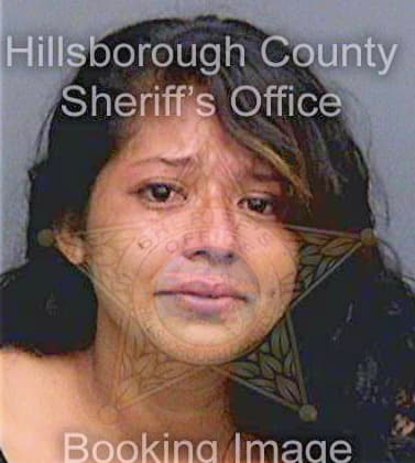 Mendoza Jessica - Hillsborough County, FL 