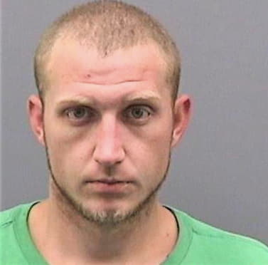 Zeman Nicholas - Hillsborough County, FL 