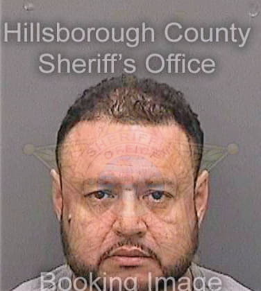 Giron Ramon - Hillsborough County, FL 