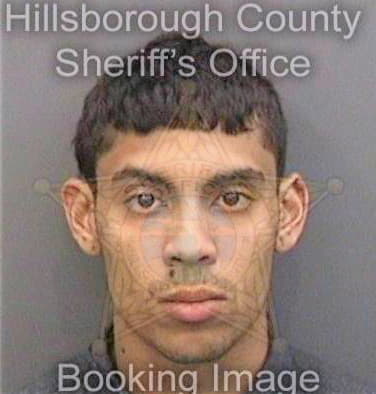 Garcia Louis - Hillsborough County, FL 