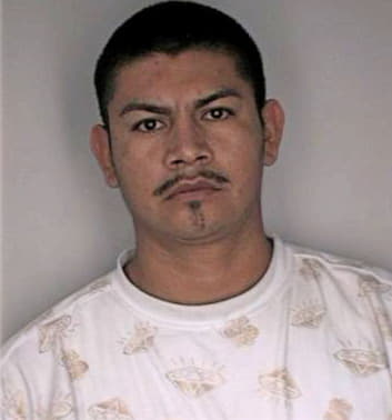 Mendez Nathanel - Hillsborough County, FL 