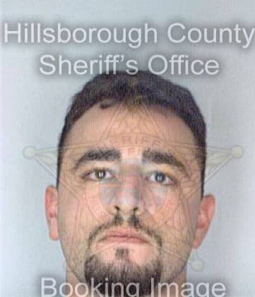 Hammad Alaa - Hillsborough County, FL 