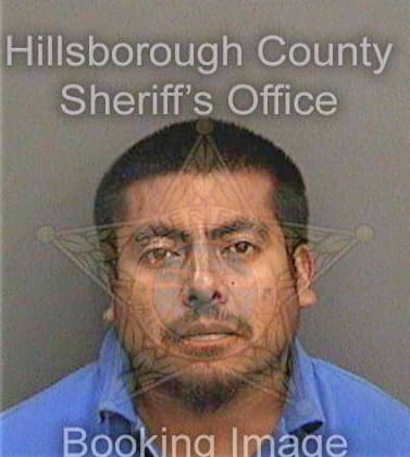 Ramirezramirez Juan - Hillsborough County, FL 