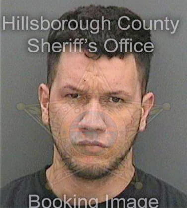 Gonzalezramos Raul - Hillsborough County, FL 