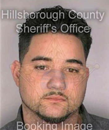 Mendoza Luis - Hillsborough County, FL 