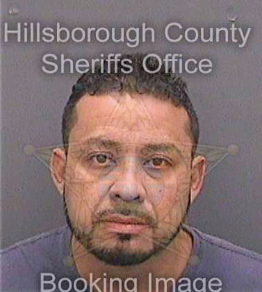 Silva-Paredes Elias - Hillsborough County, FL 