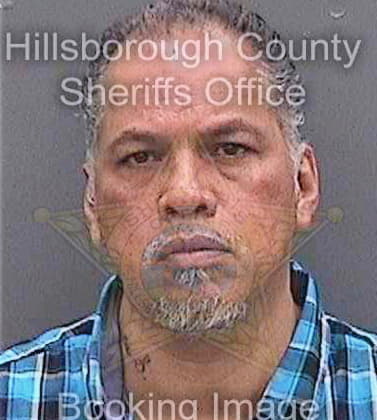 Vasquez Raul - Hillsborough County, FL 