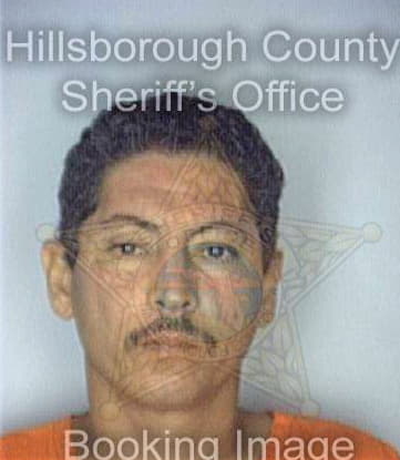 Lopezsuarez Carlos - Hillsborough County, FL 