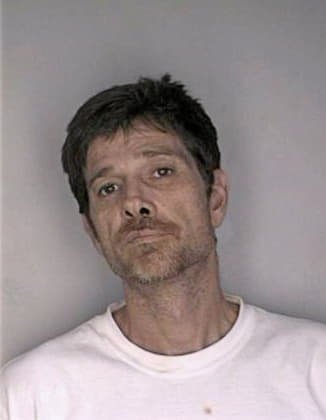 Shoenberg Vincent - Hillsborough County, FL 