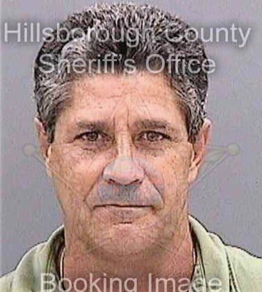 Medina Alexis - Hillsborough County, FL 