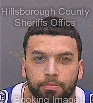 Figueroa Jonathon - Hillsborough County, FL 