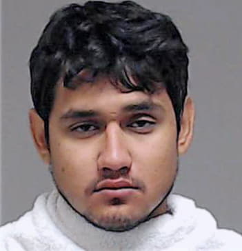 Arrequin-Diaz Eligio - Collin County, TX 