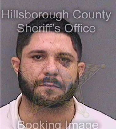 Valeragonzalez Felix - Hillsborough County, FL 