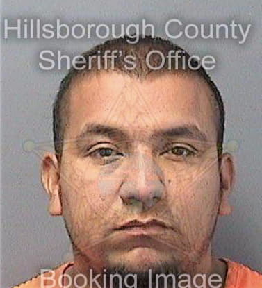 Villanueva Apolinar - Hillsborough County, FL 