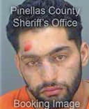 Helmy Ahmad - Pinellas County, FL 