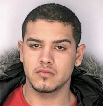 Meza Jose - Hillsborough County, FL 