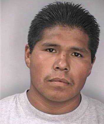 Torrez Rigoberto - Hillsborough County, FL 