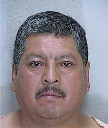 Chavez Adalberto - Marion County, FL 