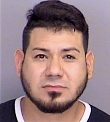 Hernandez Fernando - Brazos County, TX 