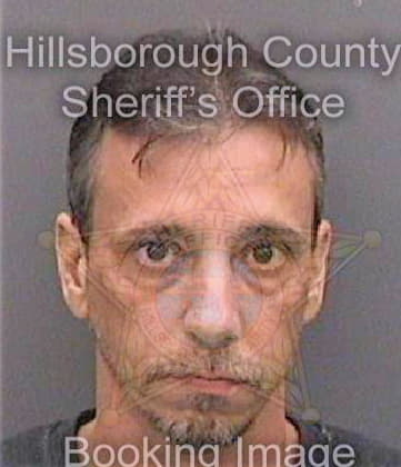 Lewis Andy - Hillsborough County, FL 