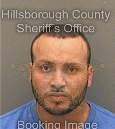 Reyessalas Jony - Hillsborough County, FL 