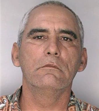 Collazo Jorge - Hillsborough County, FL 