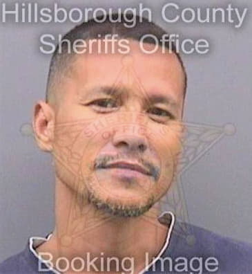 Castro Gregory - Hillsborough County, FL 