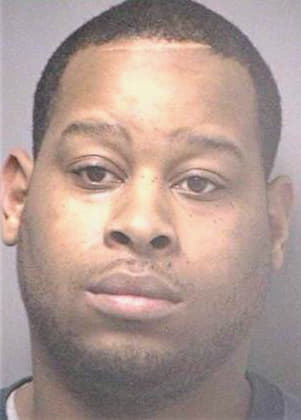 Mcelvaine Paul - Hillsborough County, FL 