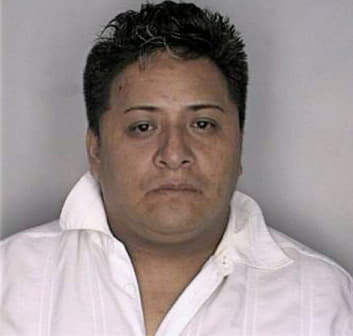 Martinez Humberto - Hillsborough County, FL 